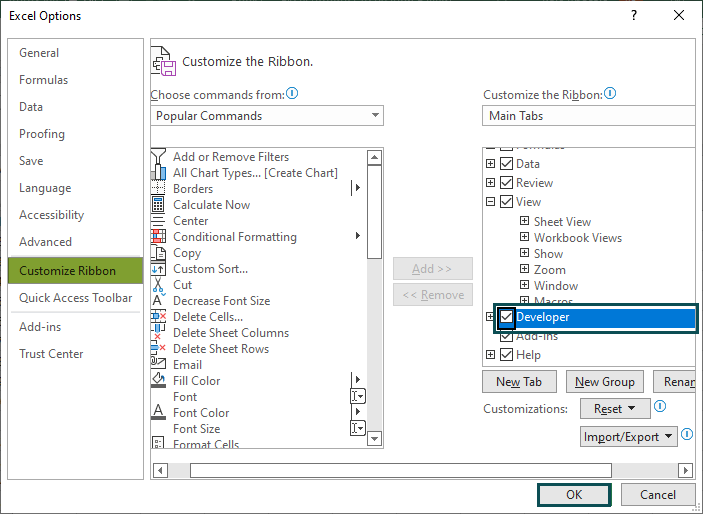 Developer Tab Options