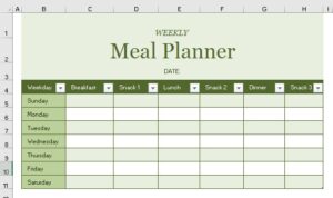 Excel Weekly Planner Template - Create Custom / Use built-in