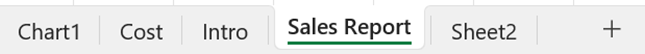 VBA Worksheets - Example 2 - Sales Report