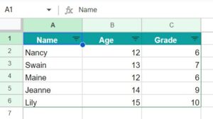 Filter in Google Sheets - Examples, How to Add and Remove?