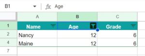 Filter in Google Sheets - Examples, How to Add and Remove?